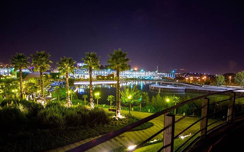 Nature Bridge at night with creative lighting
