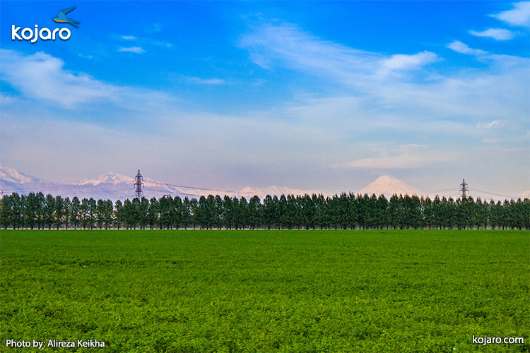 Mount Damavand visible from Ahmadabad Mostofi farmlands