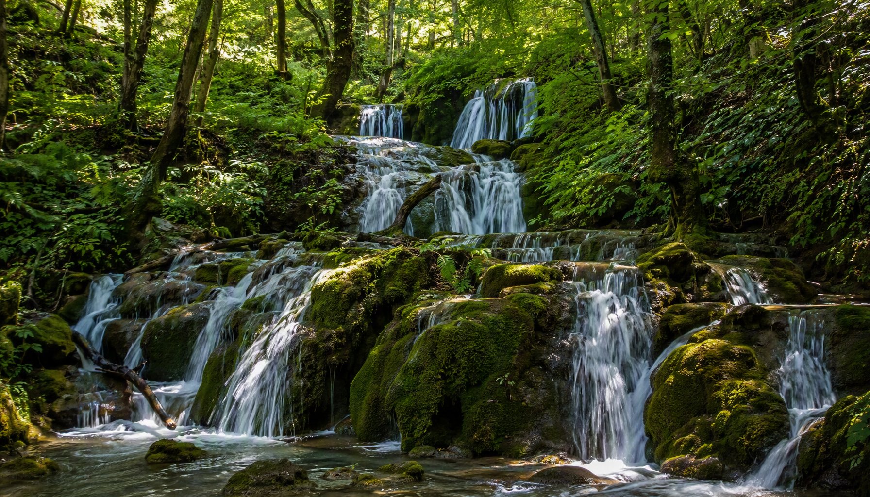 Amiri Falls cascading through the forest