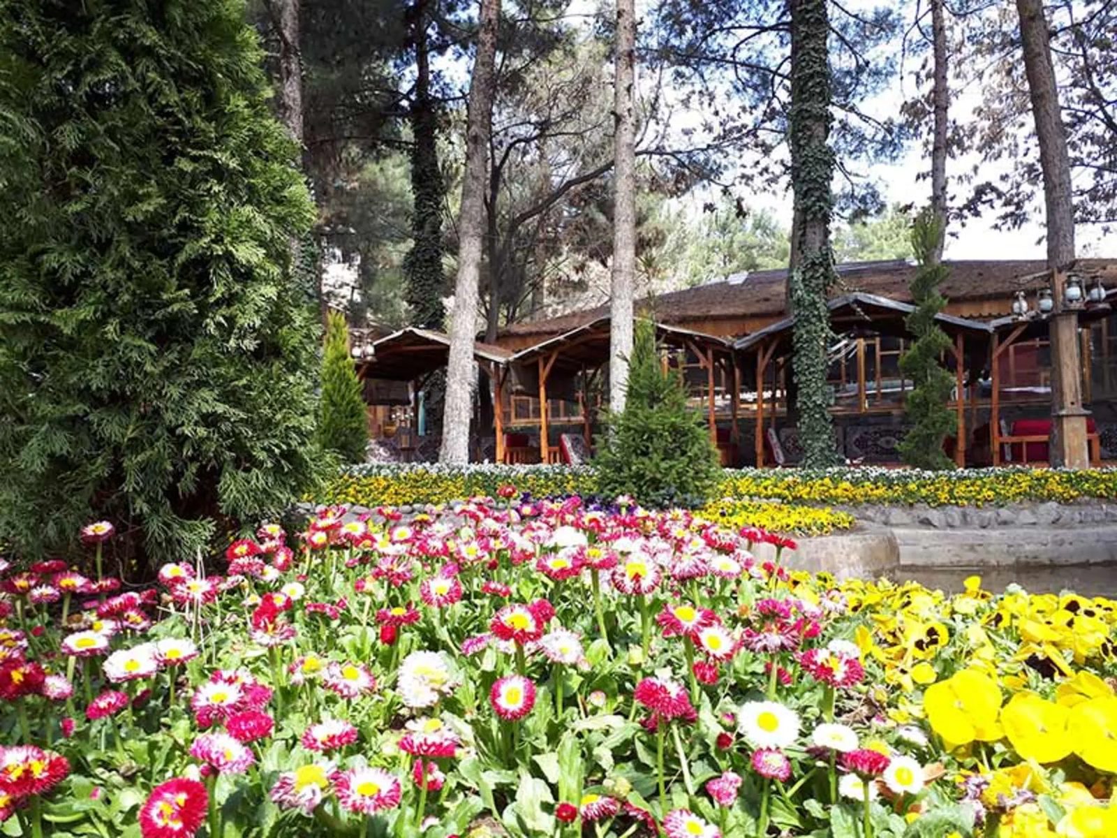 A flower bed of pink and yellow blooms in front of the pine-shaded pergolas of a Shandiz restaurant garden