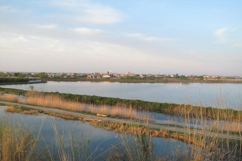 A wetland lagoon surrounded by reeds and forest near Sari, home to migratory birds