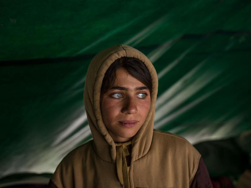 Young Bakhtiari woman on horseback guiding pack mules through the Zagros highlands