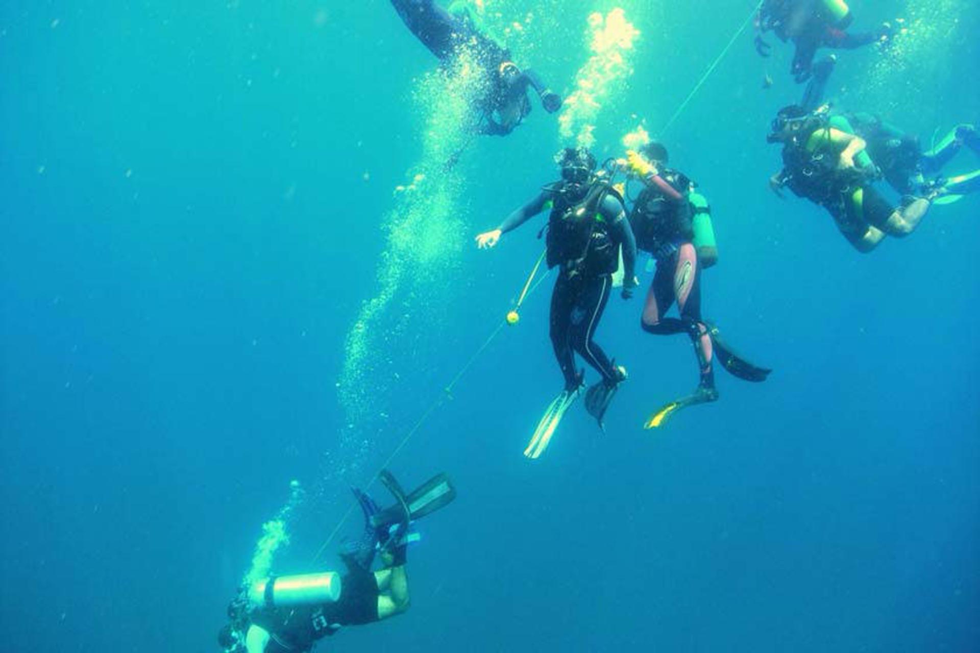Underwater coral scene in the Gulf of Oman near the Chabahar coast