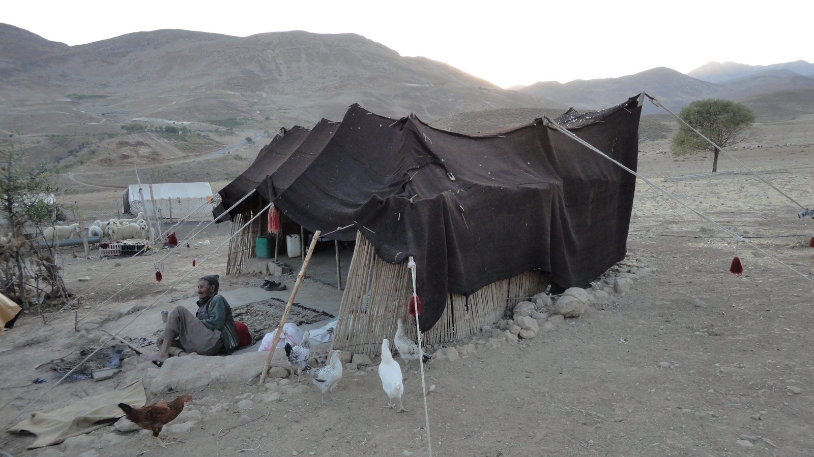 Nomadic black tent, siah-chador, in a Zagros mountain encampment in Iran