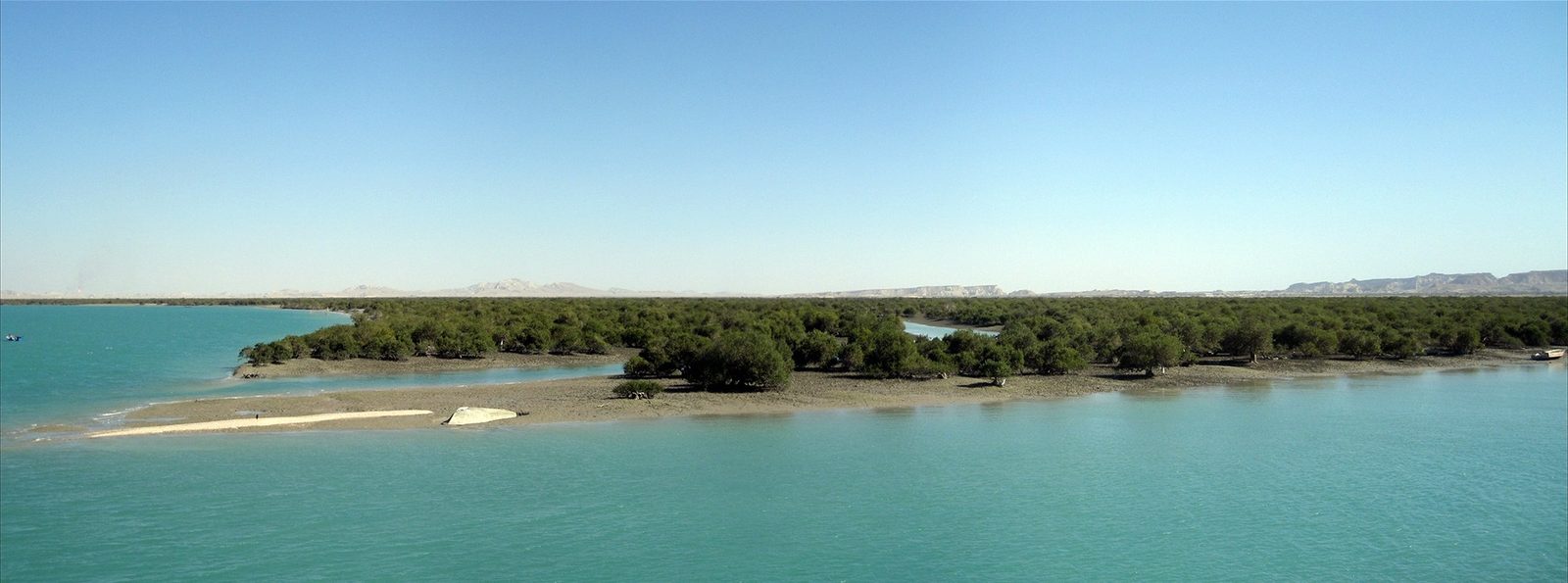Mangrove forests along the northern coast of Qeshm Island, part of the geopark's RAMSAR-listed wetlands