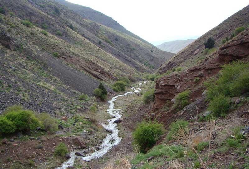 مسار حرجي يؤدي إلى شلال نكارمان