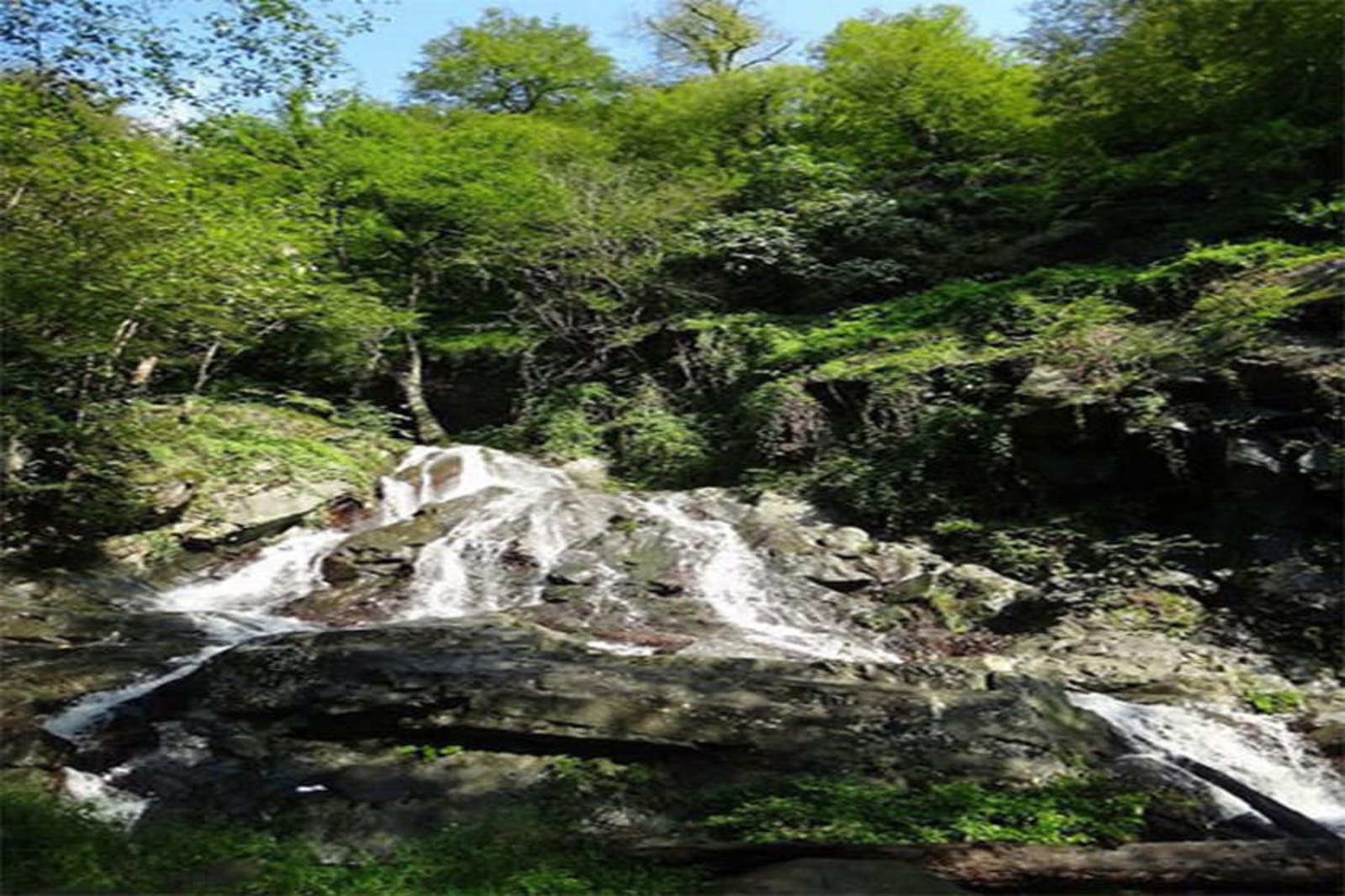 The lower cascade of Safarud spreading over sloping rock under fresh green growth