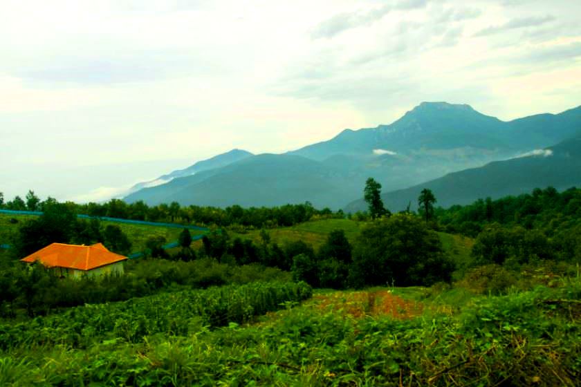 Ancient Hyrcanian forest surrounding Afratakhteh village