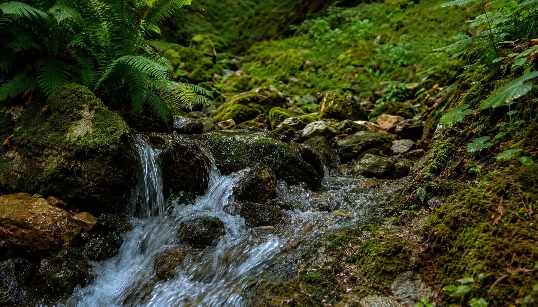 Mountain spring near Niak Village