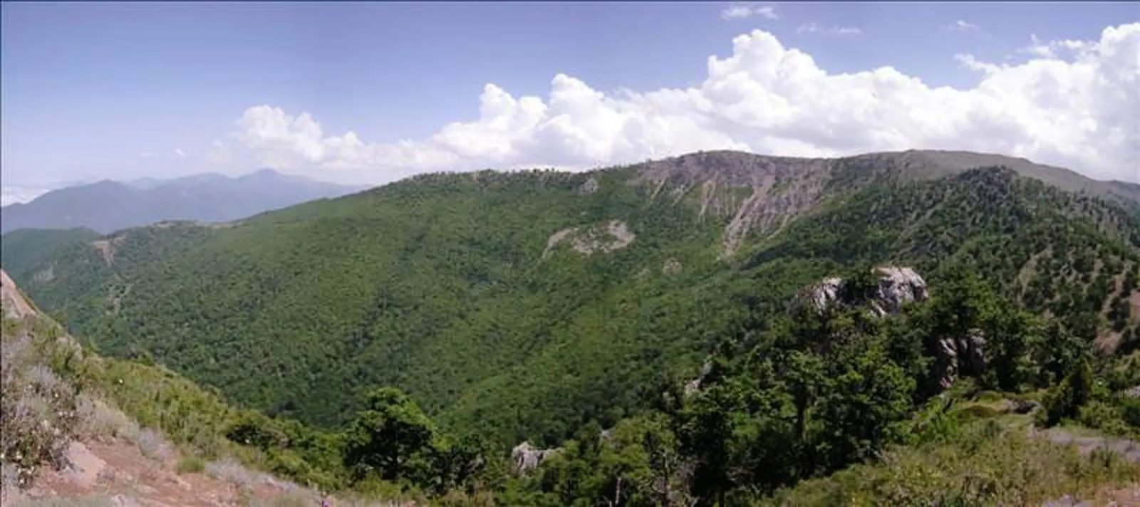 The close green plant cover on the slopes of Tavar Narab