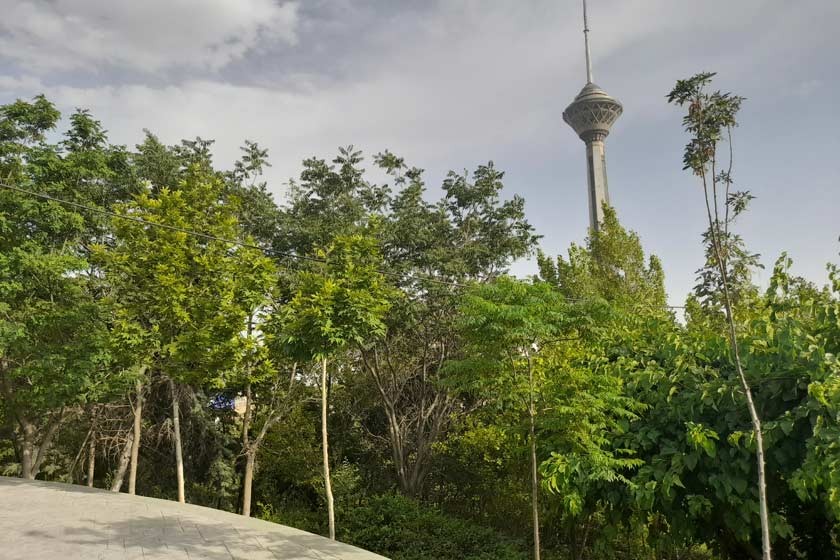 Lush greenery with Milad Tower visible in the background