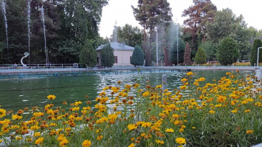 Mashhad