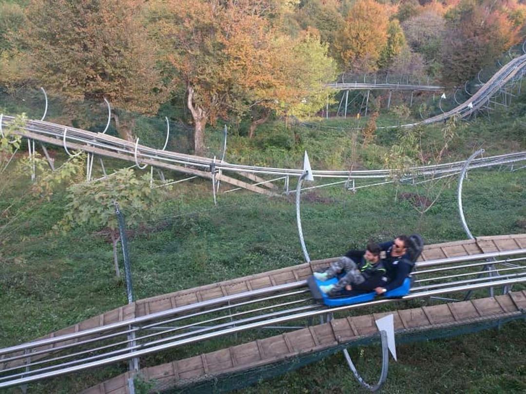 Evening atmosphere at the Talesh sleigh complex in forest setting