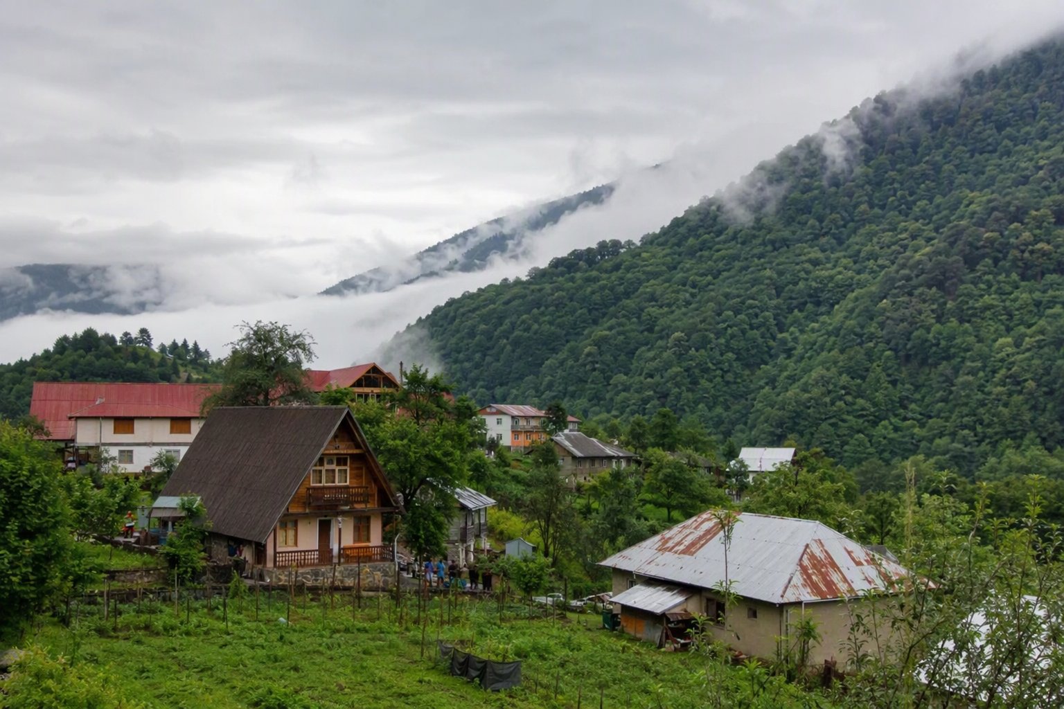 Village houses with red tiled roofs surrounded by forest in Gilan